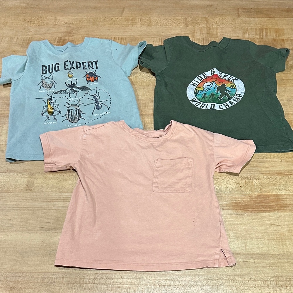 Toddler Tees [Set of 3 pre-loved]